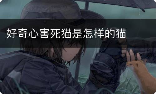 好奇心害死猫是怎样的猫