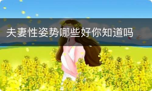 夫妻性姿势哪些好你知道吗