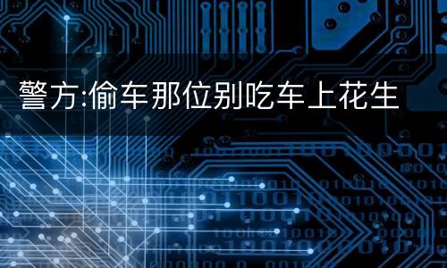警方:偷车那位别吃车上花生
