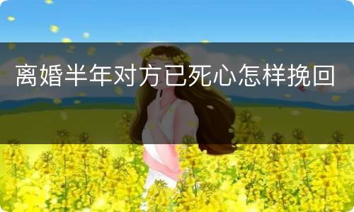 离婚半年对方已死心怎样挽回