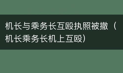 机长与乘务长互殴执照被撤（机长乘务长机上互殴）