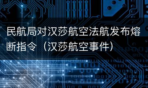 民航局对汉莎航空法航发布熔断指令（汉莎航空事件）