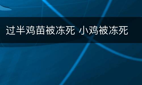 过半鸡苗被冻死 小鸡被冻死