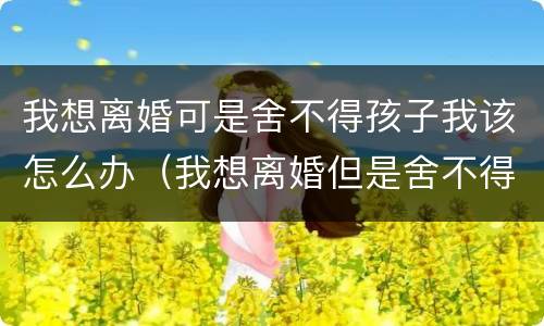 我想离婚可是舍不得孩子我该怎么办（我想离婚但是舍不得孩子怎么办）