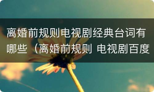 离婚前规则电视剧经典台词有哪些（离婚前规则 电视剧百度百科）