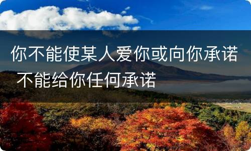 你不能使某人爱你或向你承诺 不能给你任何承诺