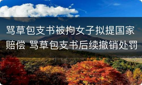 骂草包支书被拘女子拟提国家赔偿 骂草包支书后续撤销处罚