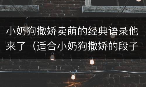 小奶狗撒娇卖萌的经典语录他来了（适合小奶狗撒娇的段子）