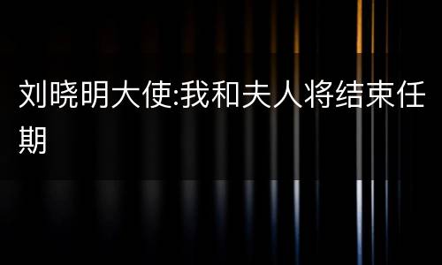 刘晓明大使:我和夫人将结束任期