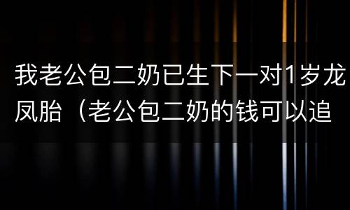 我老公包二奶已生下一对1岁龙凤胎（老公包二奶的钱可以追回吗）