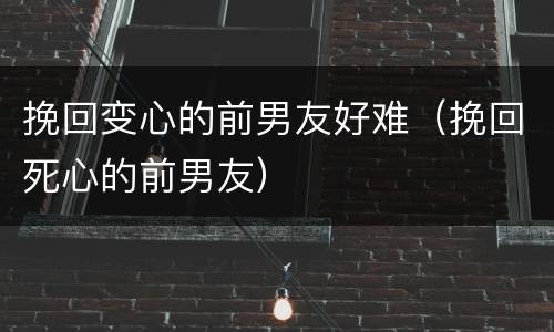 挽回变心的前男友好难（挽回死心的前男友）