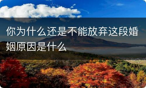 你为什么还是不能放弃这段婚姻原因是什么