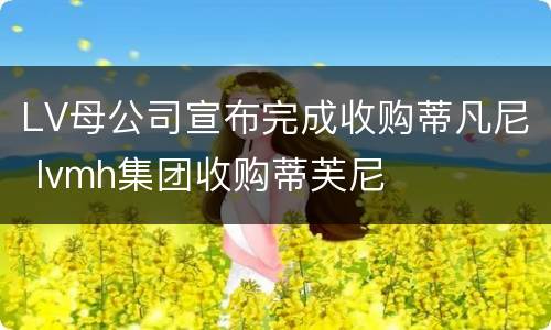 LV母公司宣布完成收购蒂凡尼 lvmh集团收购蒂芙尼