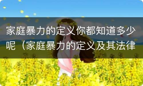 家庭暴力的定义你都知道多少呢（家庭暴力的定义及其法律后果）