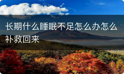 长期什么睡眠不足怎么办怎么补救回来