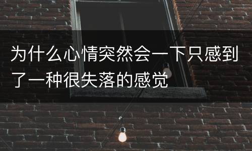 为什么心情突然会一下只感到了一种很失落的感觉