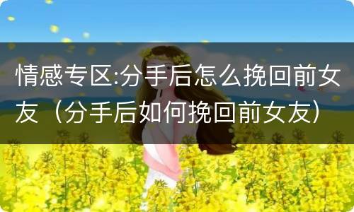 情感专区:分手后怎么挽回前女友（分手后如何挽回前女友）