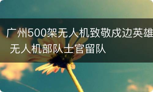 广州500架无人机致敬戍边英雄 无人机部队士官留队
