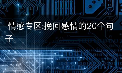  情感专区:挽回感情的20个句子