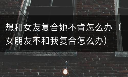 想和女友复合她不肯怎么办（女朋友不和我复合怎么办）