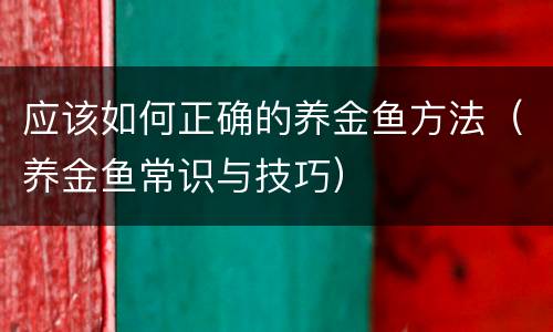 应该如何正确的养金鱼方法（养金鱼常识与技巧）
