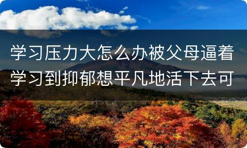 学习压力大怎么办被父母逼着学习到抑郁想平凡地活下去可耻吗
