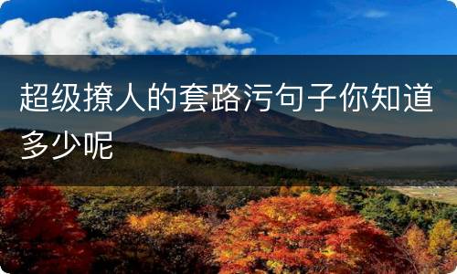 超级撩人的套路污句子你知道多少呢