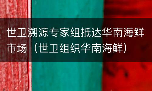 世卫溯源专家组抵达华南海鲜市场（世卫组织华南海鲜）
