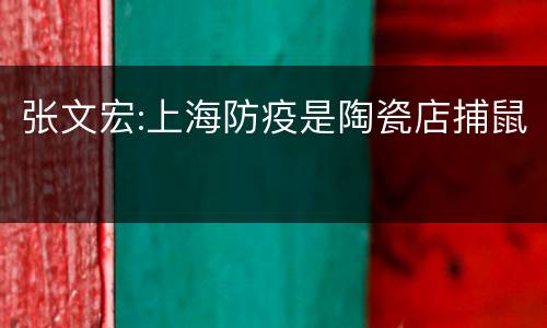 张文宏:上海防疫是陶瓷店捕鼠