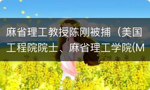 麻省理工教授陈刚被捕（美国工程院院士、麻省理工学院(MIT教授陈刚）