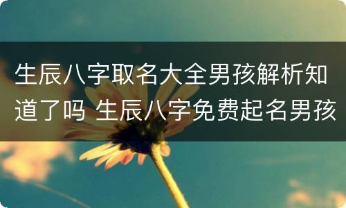 生辰八字取名大全男孩解析知道了吗 生辰八字免费起名男孩儿