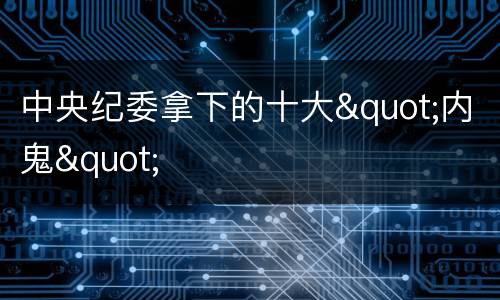 中央纪委拿下的十大"内鬼"