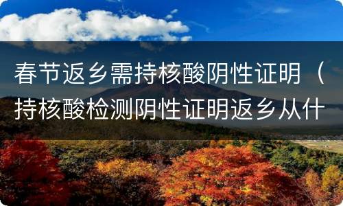 春节返乡需持核酸阴性证明（持核酸检测阴性证明返乡从什么春运开始后实施）