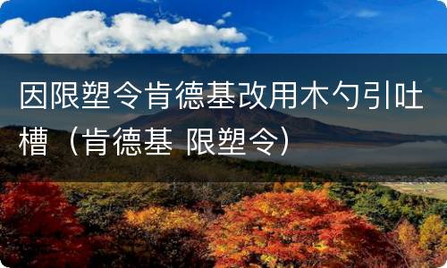 因限塑令肯德基改用木勺引吐槽（肯德基 限塑令）