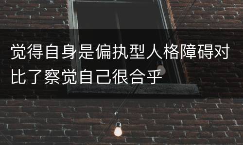 觉得自身是偏执型人格障碍对比了察觉自己很合乎