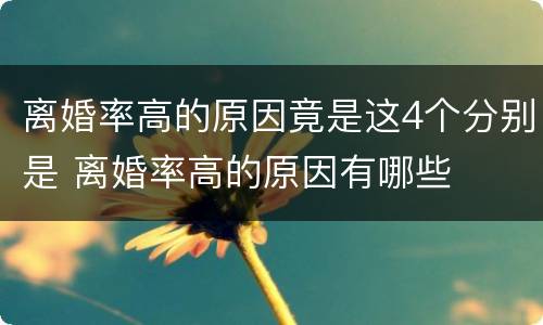 离婚率高的原因竟是这4个分别是 离婚率高的原因有哪些