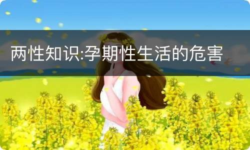 两性知识:孕期性生活的危害