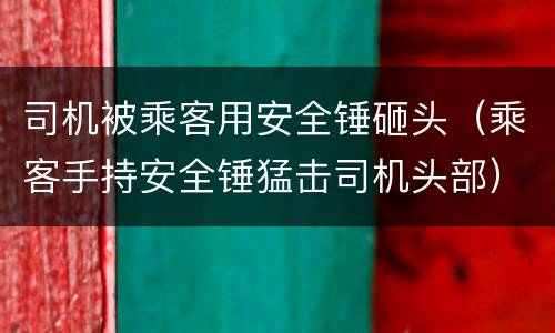 司机被乘客用安全锤砸头（乘客手持安全锤猛击司机头部）