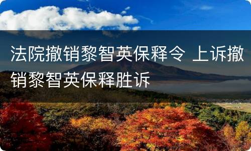法院撤销黎智英保释令 上诉撤销黎智英保释胜诉