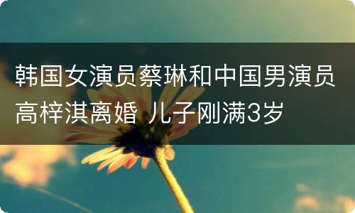 韩国女演员蔡琳和中国男演员高梓淇离婚 儿子刚满3岁