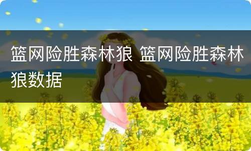 篮网险胜森林狼 篮网险胜森林狼数据