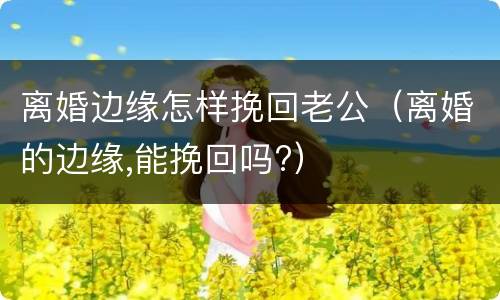离婚边缘怎样挽回老公（离婚的边缘,能挽回吗?）