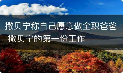 撒贝宁称自己愿意做全职爸爸 撒贝宁的第一份工作