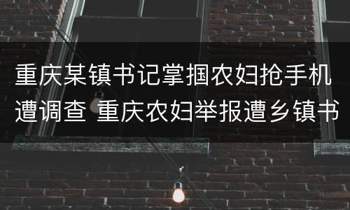 重庆某镇书记掌掴农妇抢手机遭调查 重庆农妇举报遭乡镇书记掌掴