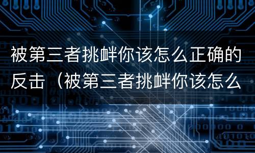 被第三者挑衅你该怎么正确的反击（被第三者挑衅你该怎么正确的反击他）