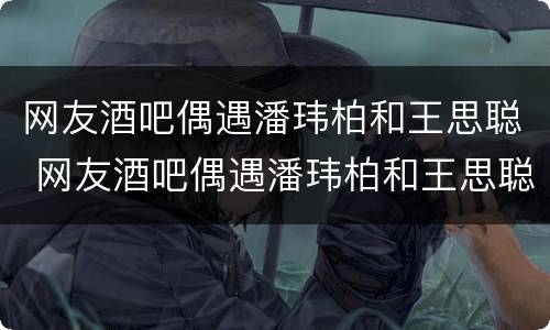 网友酒吧偶遇潘玮柏和王思聪 网友酒吧偶遇潘玮柏和王思聪视频