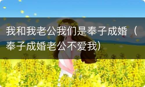 我和我老公我们是奉子成婚（奉子成婚老公不爱我）