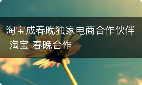 淘宝成春晚独家电商合作伙伴 淘宝 春晚合作