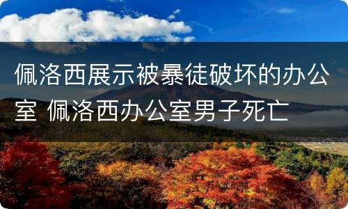 佩洛西展示被暴徒破坏的办公室 佩洛西办公室男子死亡