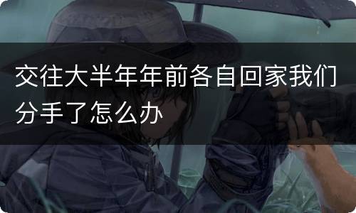 交往大半年年前各自回家我们分手了怎么办
